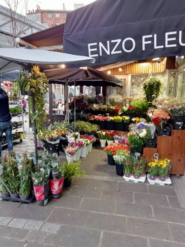 ENZO FLEURS