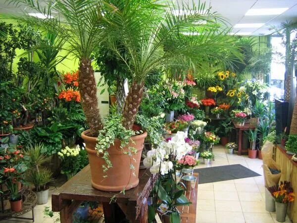 Les Jardins Suspendus