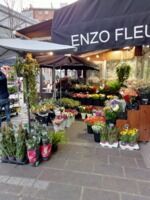 33. ENZO FLEURS